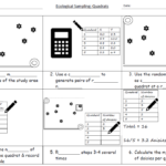 Quadrat Method KS3 SEN Teaching Resources