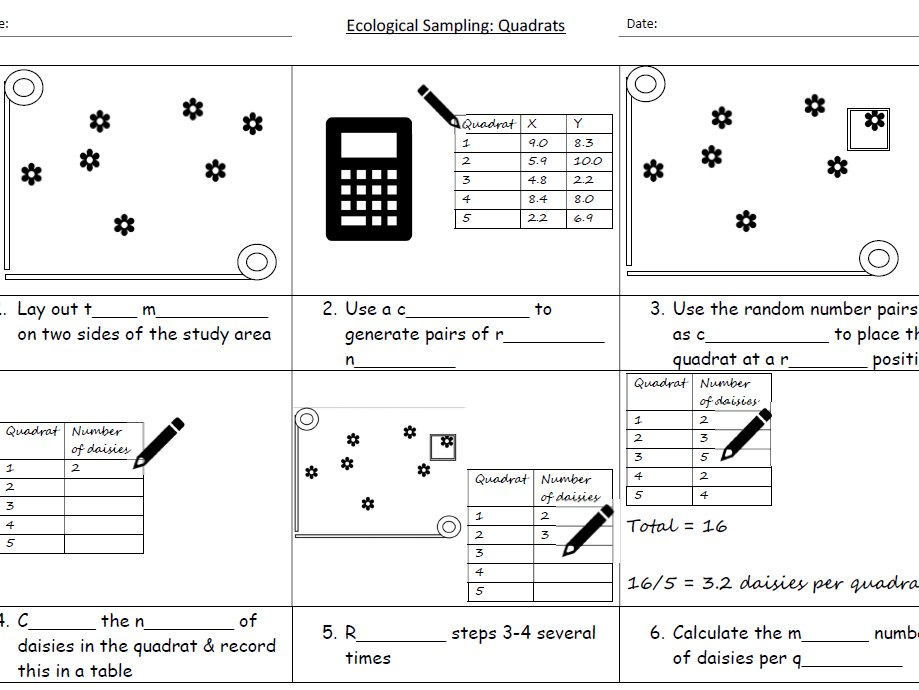 Quadrat Method KS3 SEN Teaching Resources