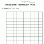 Quadrat Study Reconstructed Prairie