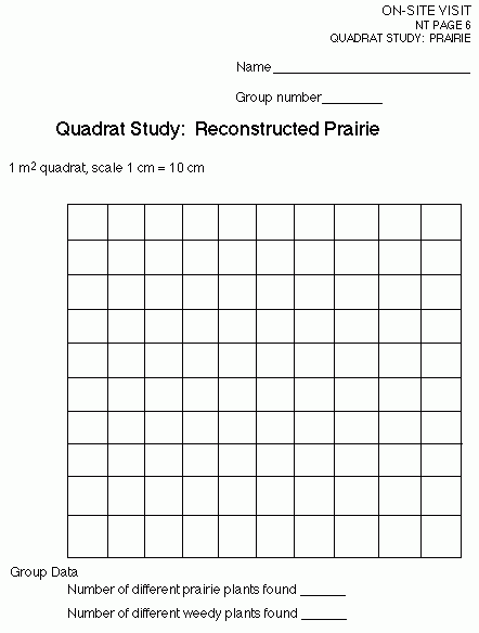 Quadrat Study Reconstructed Prairie