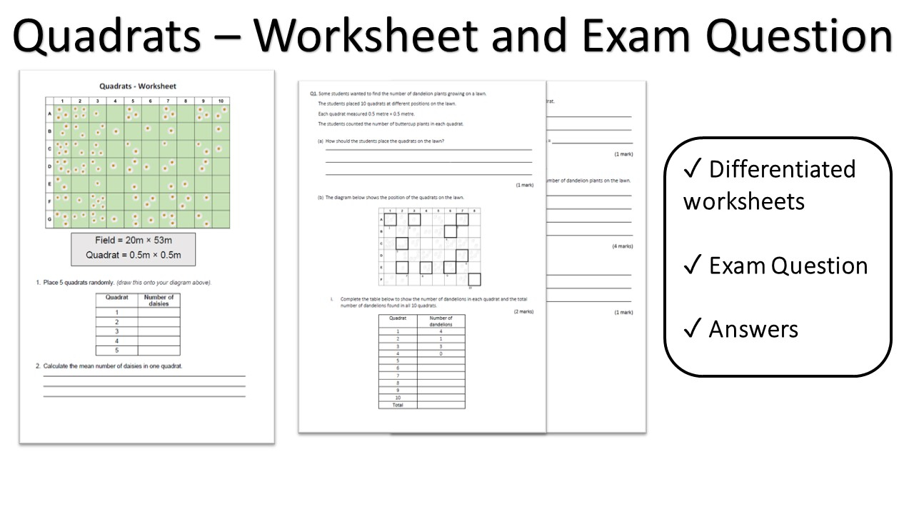 Quadrats For GCSE Biology And Comnbined Science Teaching Resources