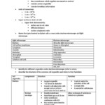 30 Cell Organelles Worksheet Answer Key Education Template