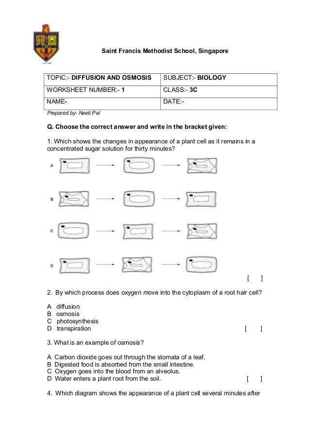 Diffusion And Osmosis Worksheet Answers Diffusion And Osmosis In 2020 