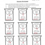 Osmosis Worksheet Answers Key School Booster