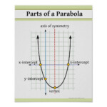 Quadratic Function Parts Of A Parabola Poster Zazzle