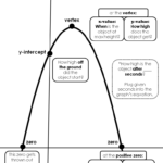 Vertical Projectile Motion Graphing Quadratics Word Problem